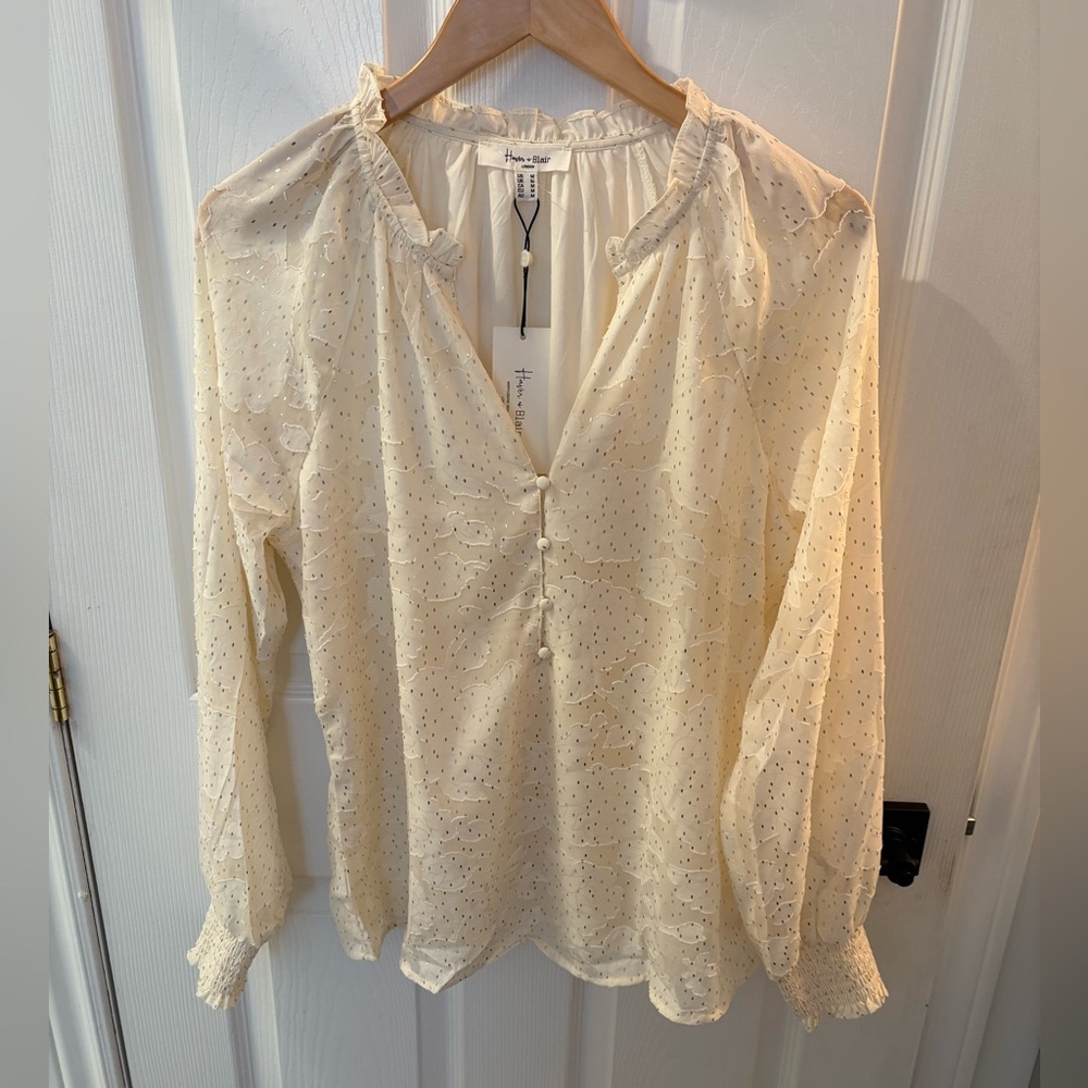 Cream Long Sleeve Sheer Blouse by Haver & Blair